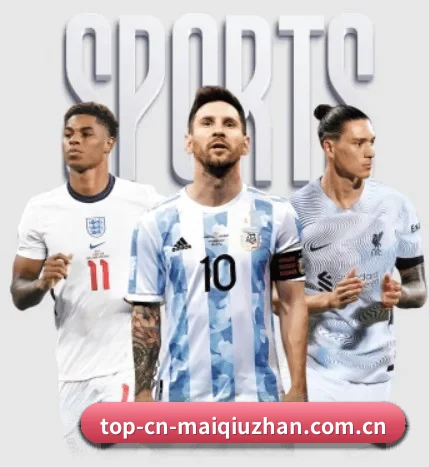 五大服务分区,信息按项目分类